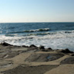 Meet your Posher, Carole